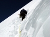 Louis beim Spuren in der Traverse