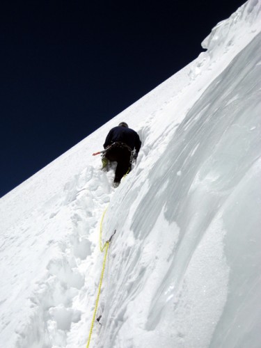 Louis beim Spuren in der Traverse